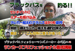 ブラックバス.jpg